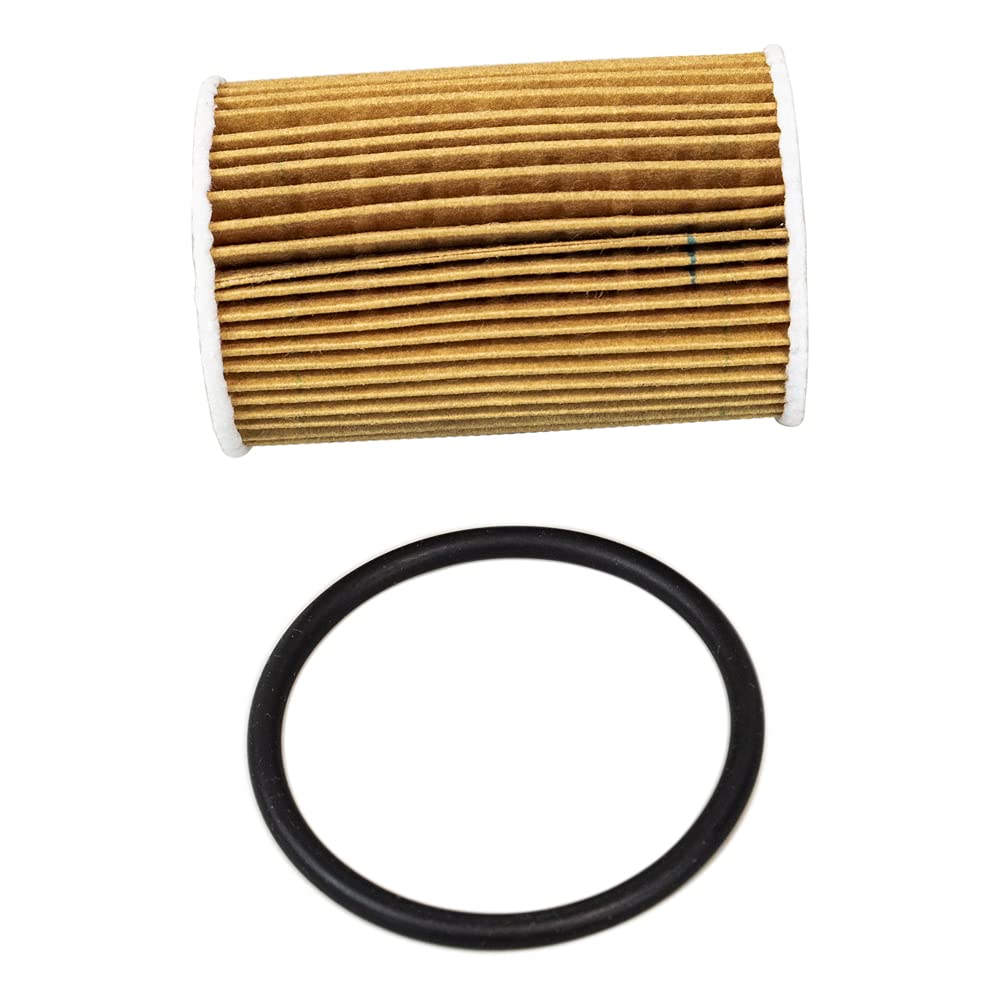 Polaris Filter and O-Ring for Aluminum Cap, Genuine OEM Part